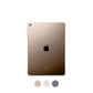 IPAD MINI 4TH GENERATION (WIFI)